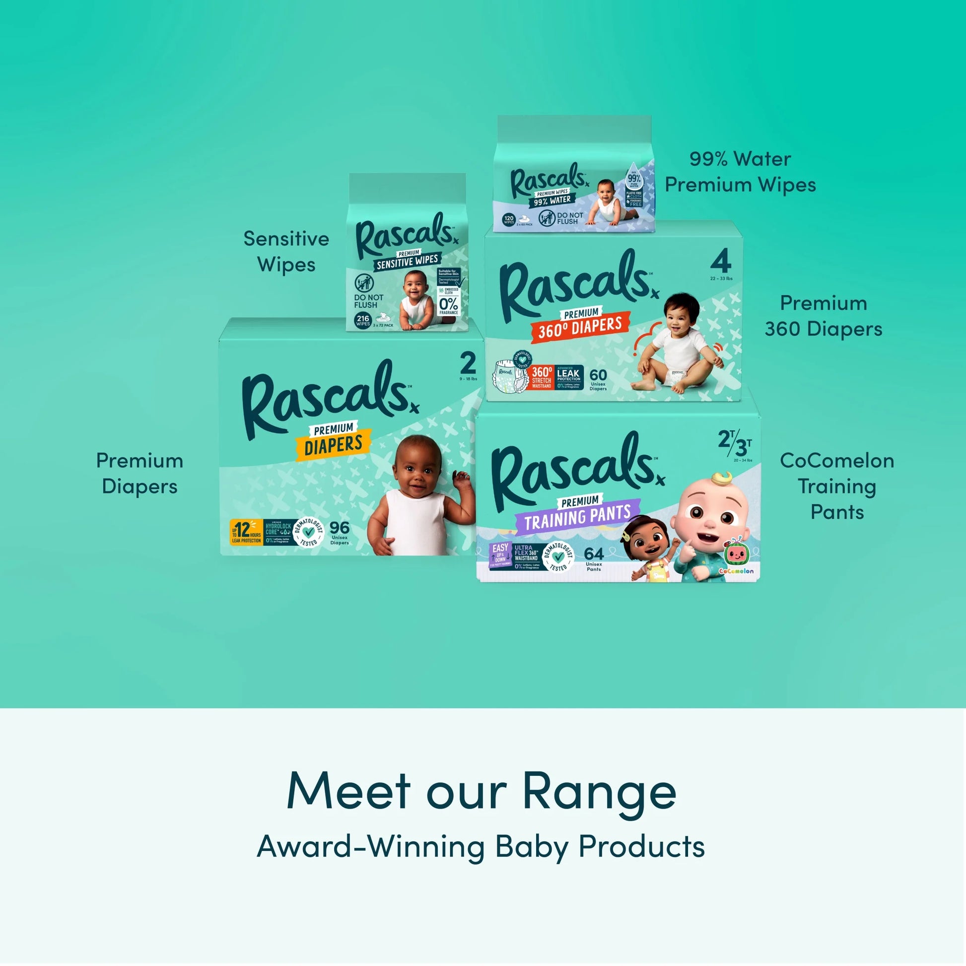 Premium Absorbent Baby Diapers Size 5, 22 Count